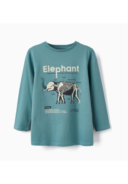 Camiseta Elephant